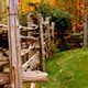 Illustration for article titled 100 Gorgeous Photos Of Fall Leaves